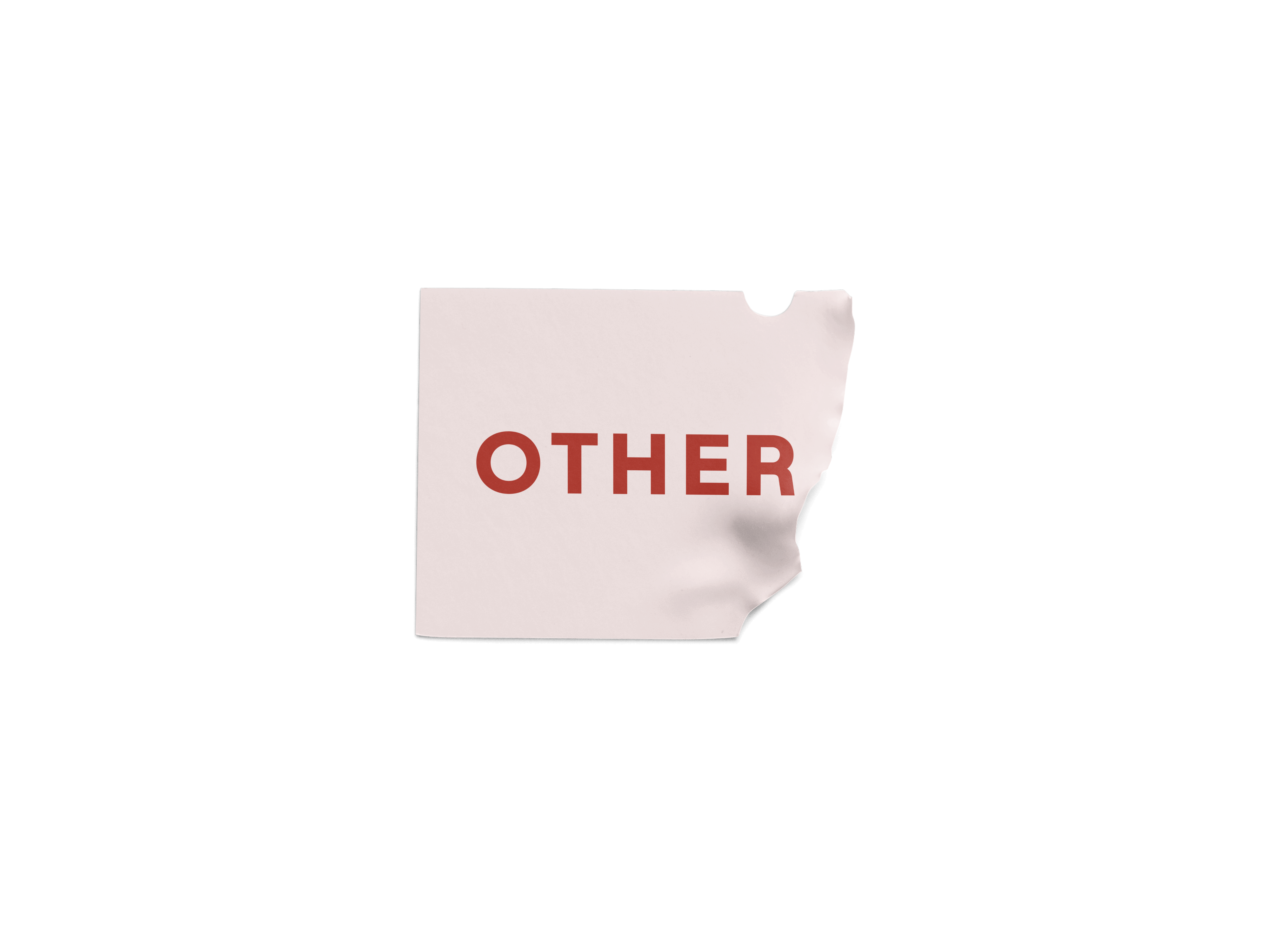 Sticker reading OTHER